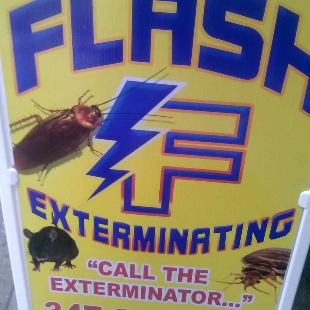 Flash Exterminating