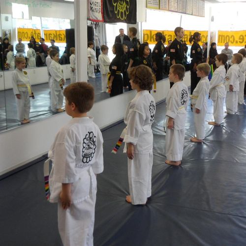 PKA Karate Academy in Pittsburgh- Little Dragons (
