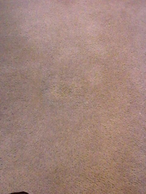 Bleach spot after color repair