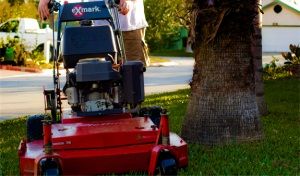 Lawn Maintenance Services