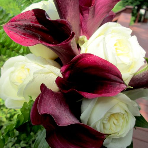 Calla lilies and white polo roses bridal bouquet