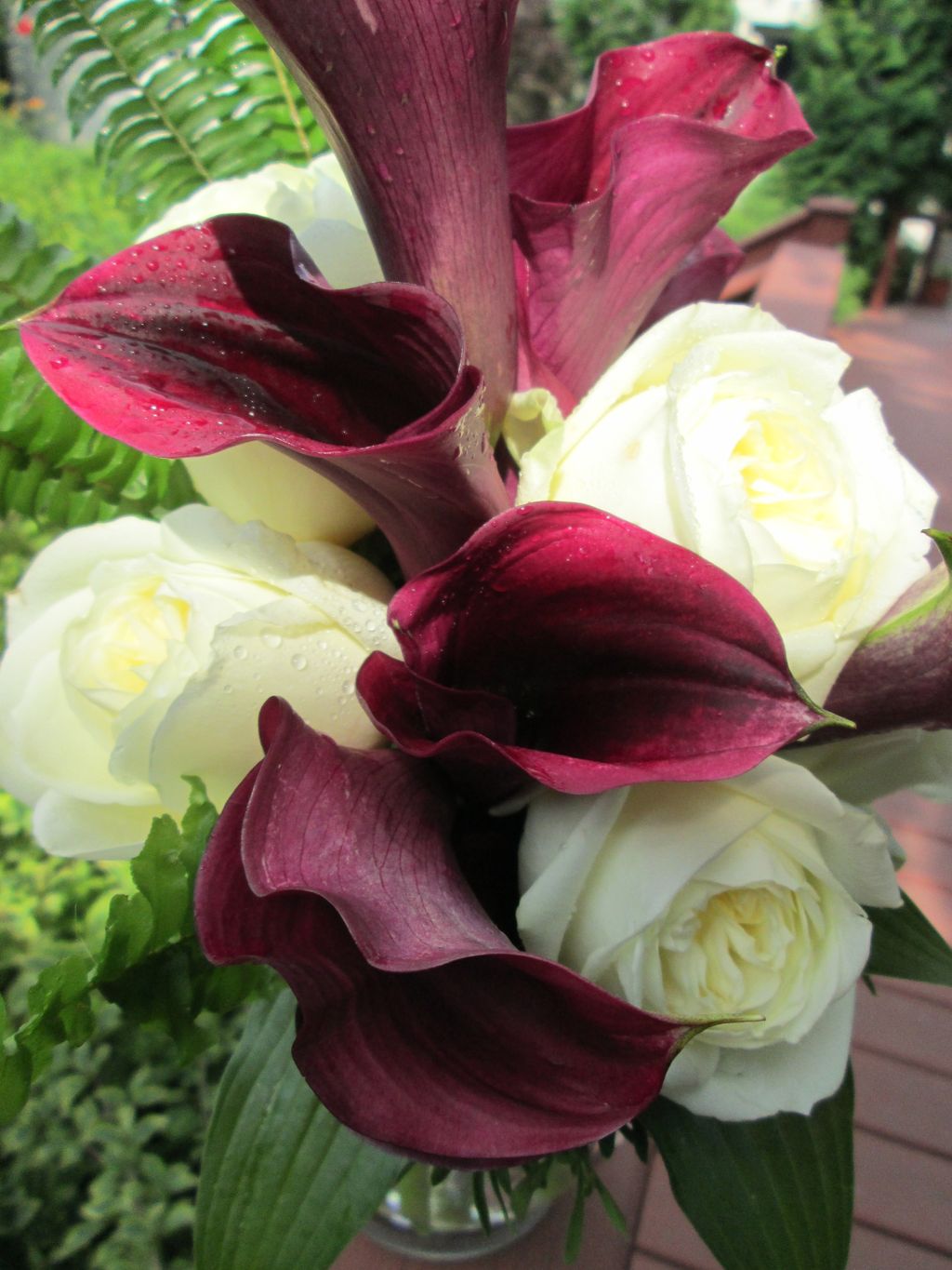Calla lilies and white polo roses bridal bouquet
