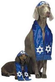 Rabbi Gary has led many animal appreciation servic