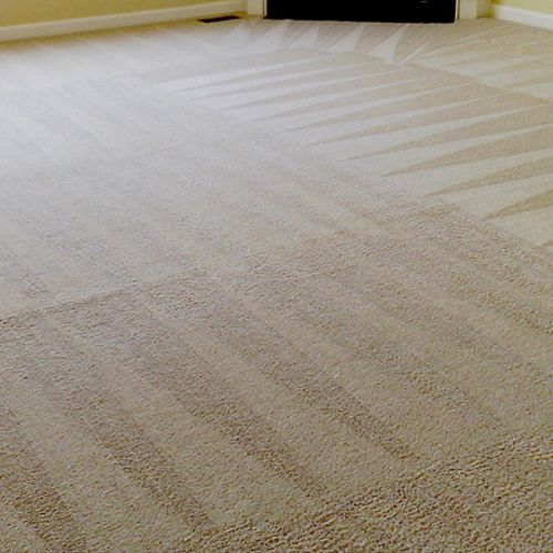 Move-In Carpet cleaning services...