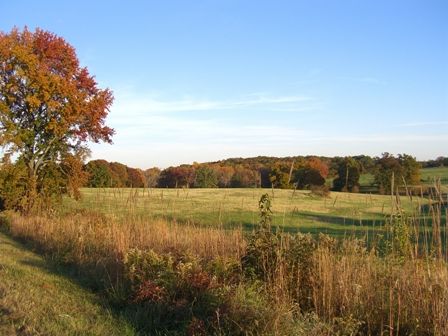 Greenwood countryside