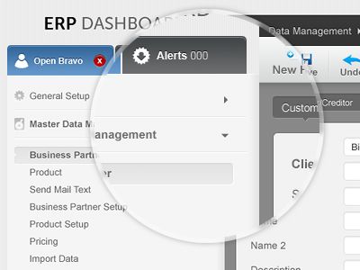 Enterprise resource planning web application