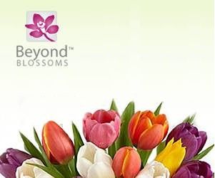 Beyond Blossoms