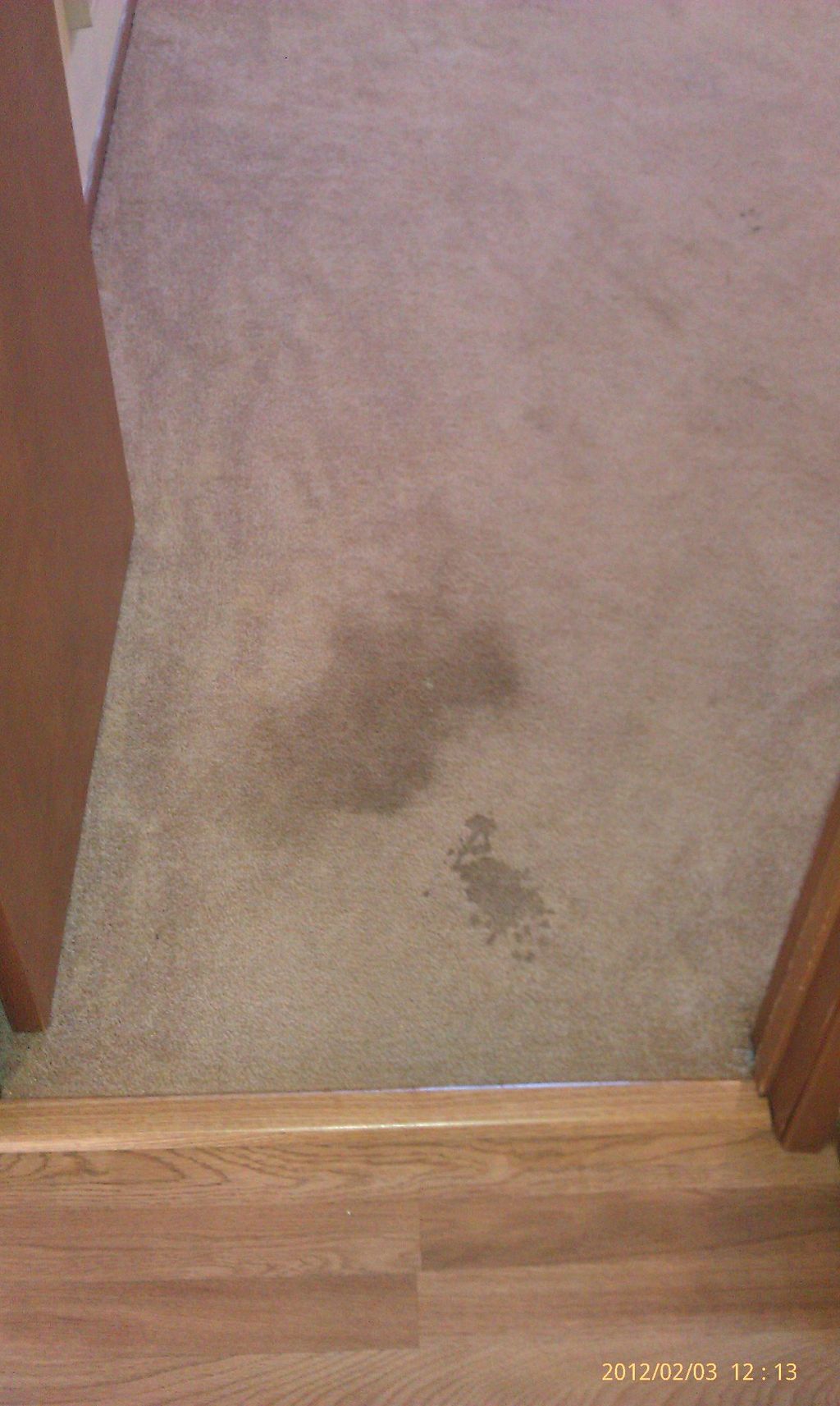 Bedroom Entry Before Treatment