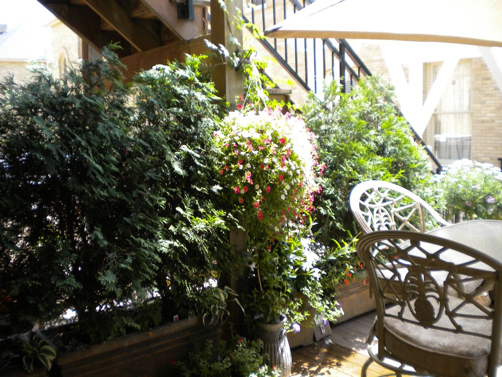 Garden Nanny creates colorful relaxing garden priv