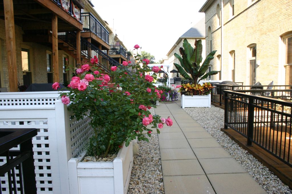 Rooftop gardens and alfresco garden dinning areas 