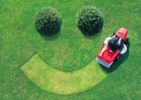 keep your yard happy