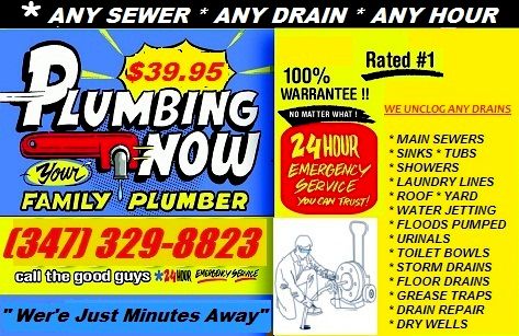 3995 Any Sewer Any Drain Any Hour Queens