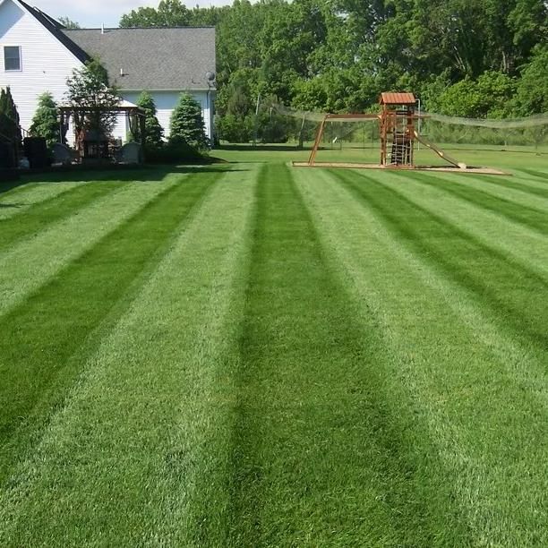 Better Green Lawns and Landscaping, LLC