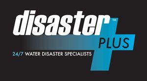 Disaster Plus