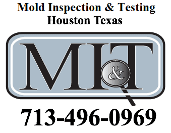Houston mold inspection
