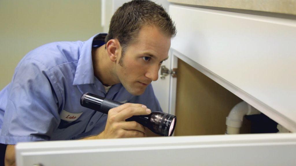Bell Environmental Technician Inspecting for Pests