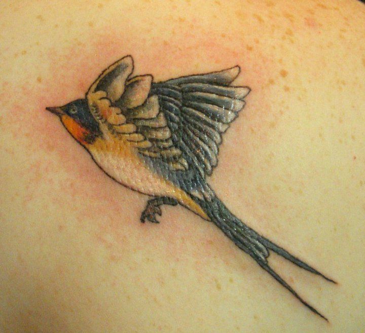 Bird by Laura