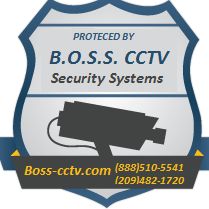 B.O.S.S. Best Of Security Systems
