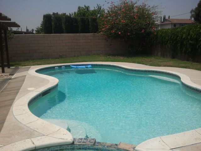 after pool is clean by Green Dragon