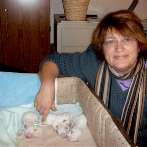 Me with 3 day old Bichon Frisee / Photo: Bill Well