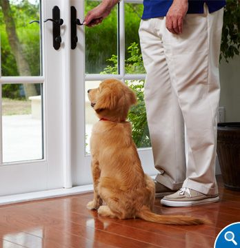 In home training