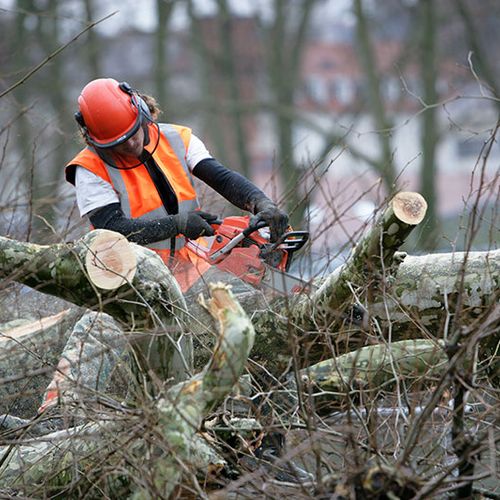 Emergency and scheduled tree services.