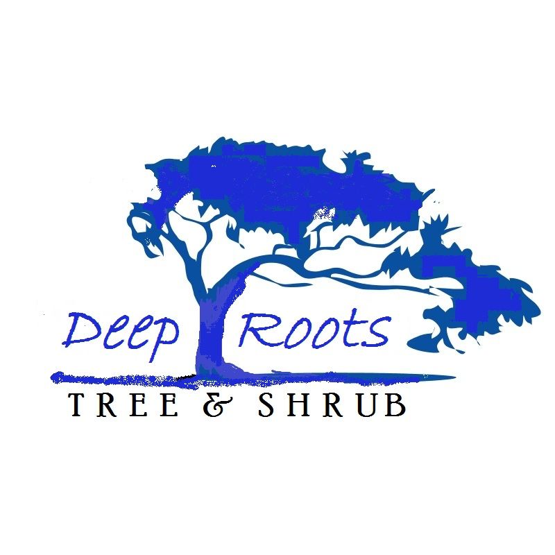 Deep Roots Tree and Shrub
