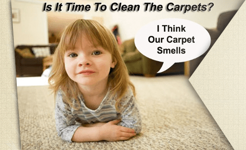 we ad steam carpet cleaning just to help our custo