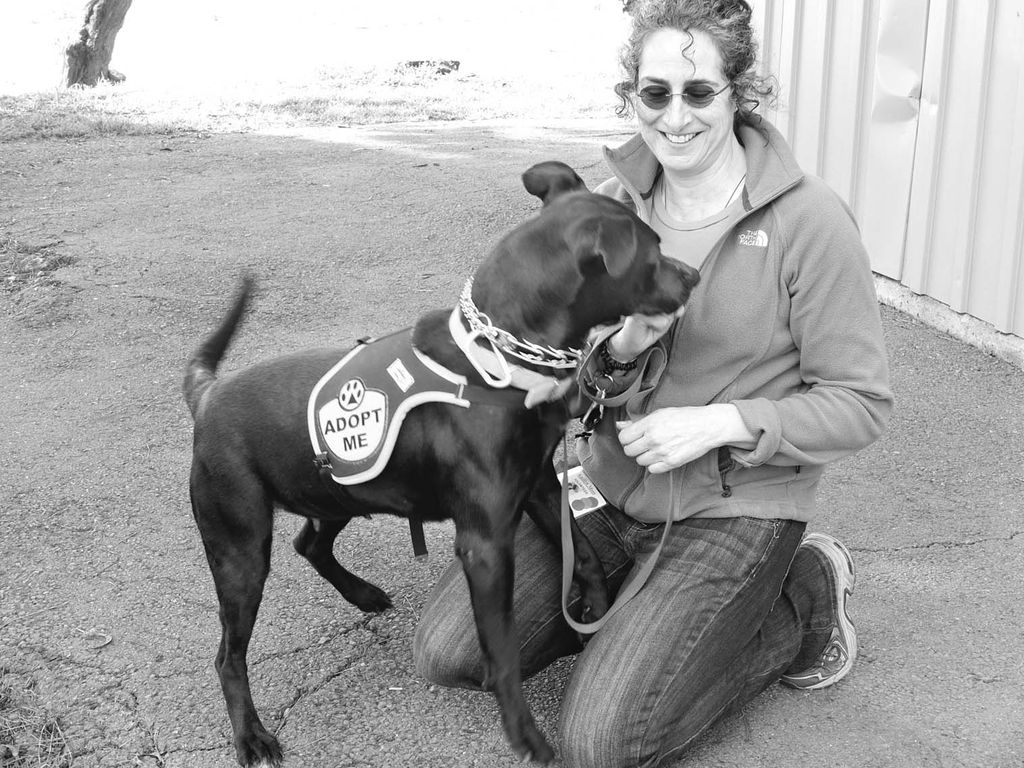 BACS adoptee Paloma has found her forever home.
Ph