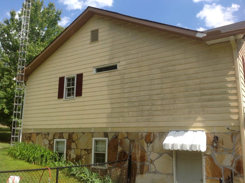 Power Wash house wash. "Soft Washed" so no damage 