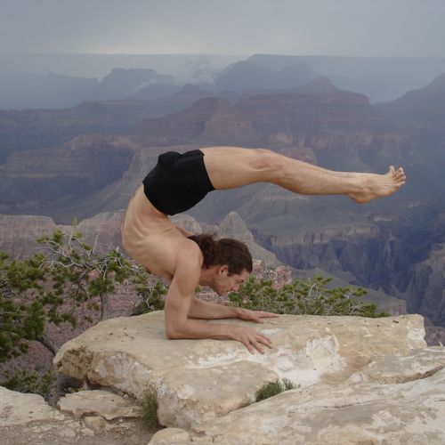 Charging Scorpion on the edge of the Grand canyon