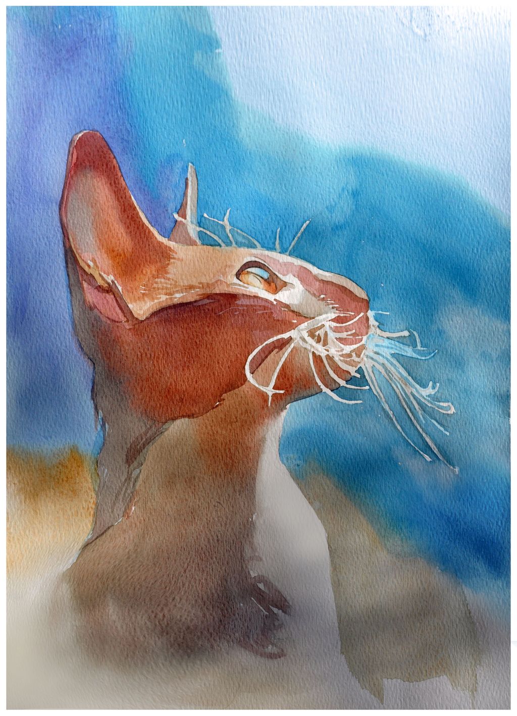 Watercolor
