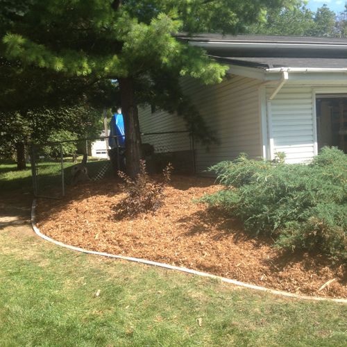Installed paver edging, new mulch, new bushes plan