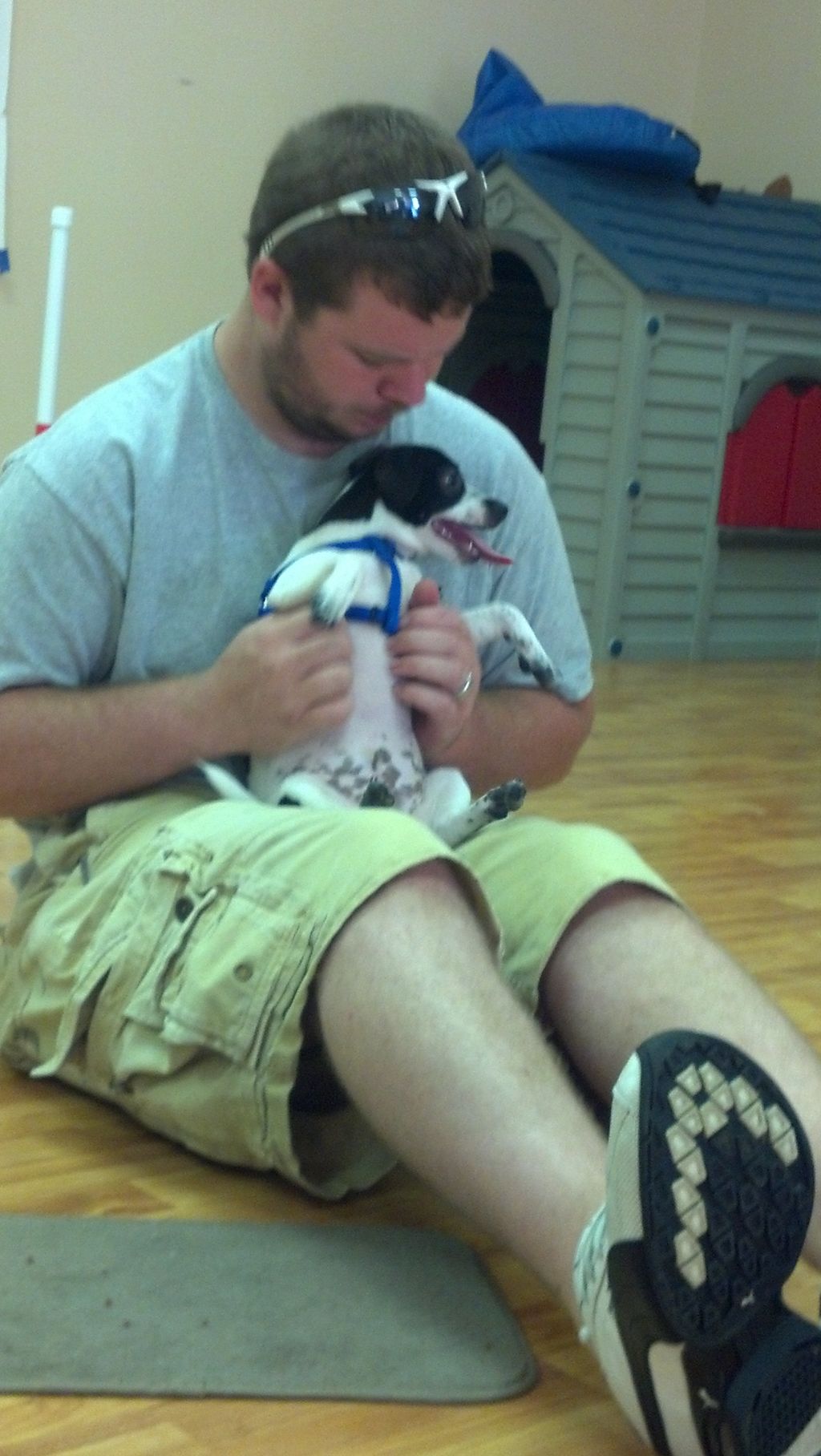 Fun times at puppy class.