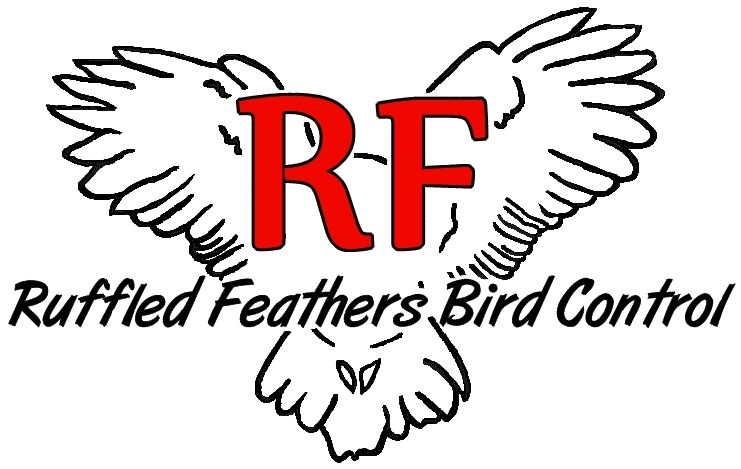 Ruffled Feathers Bird Control