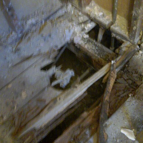 Rotten Bathroom floor