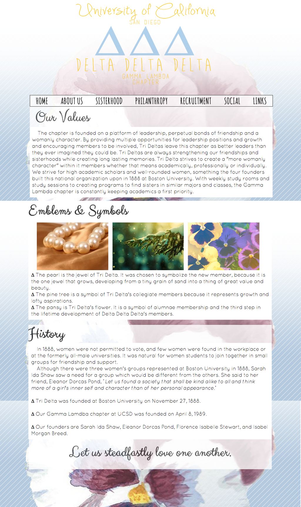 A screenshot of Beth's work for UCSD Tri Delta's w