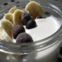 Coconut Yogurt