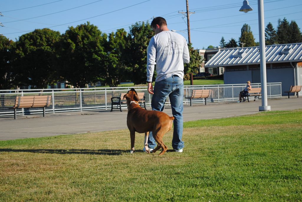 Rambo and me.  When I teach a focused heel I use t
