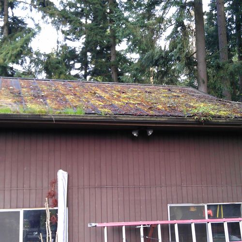 Metal Roof Before Cleaning
