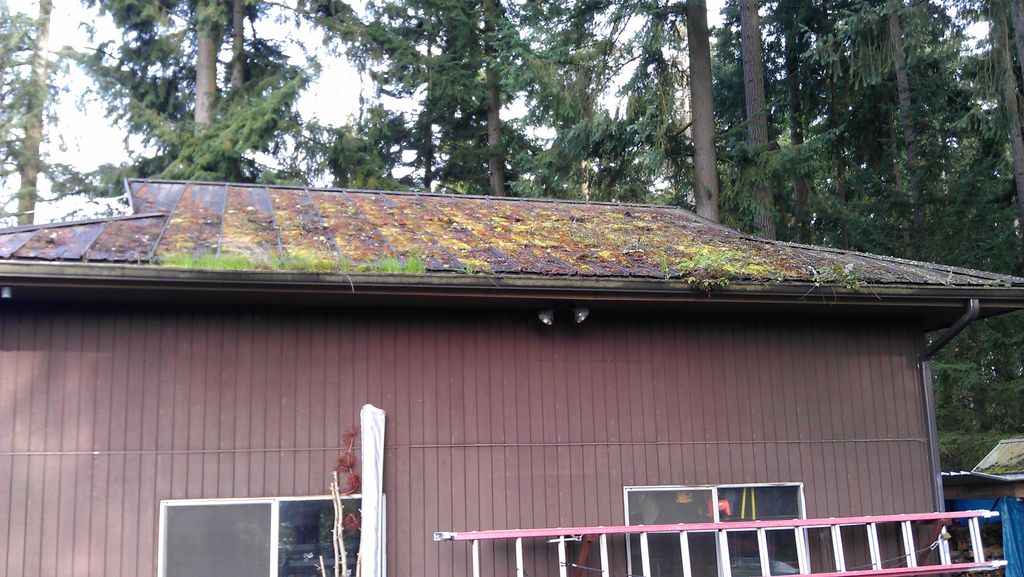 Metal Roof Before Cleaning