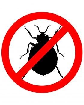 Expert Bed Bug Prep