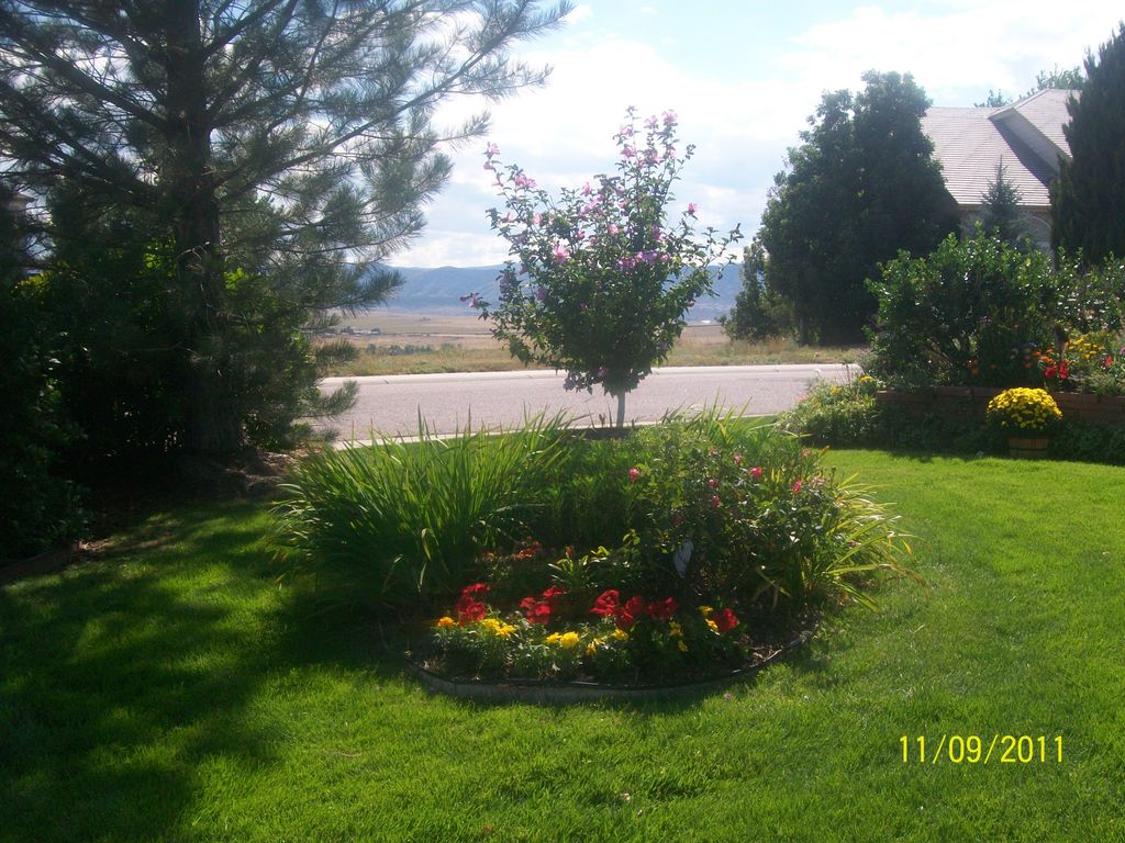 Flower cut-out Highlands Ranch.