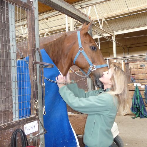 Adult Riding Lessons Twin Cities MN