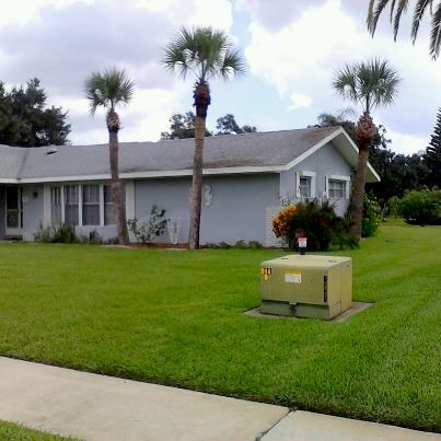 palm tree clean up and trim/ lawn care customer of