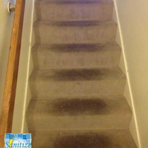 Before - Heavily soiled stairs