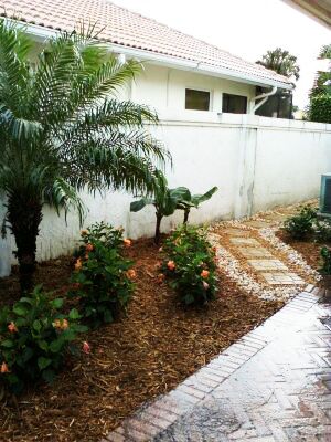 Stepping Stones & Landscaping