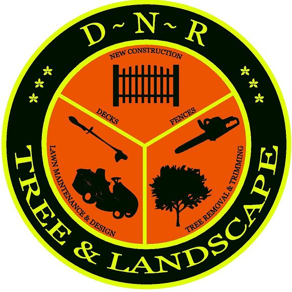 D-N-R Tree And Landscape