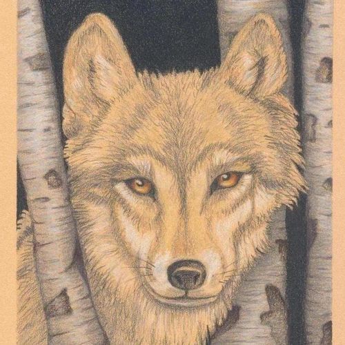 Night Watchman, colored pencil on colored paper