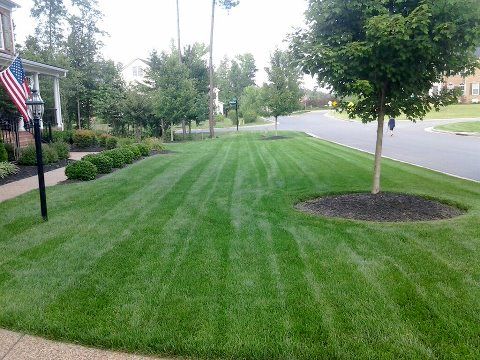 Right Height Mowing LLC